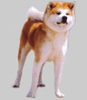 Toukaku Go Tetsuyukisou